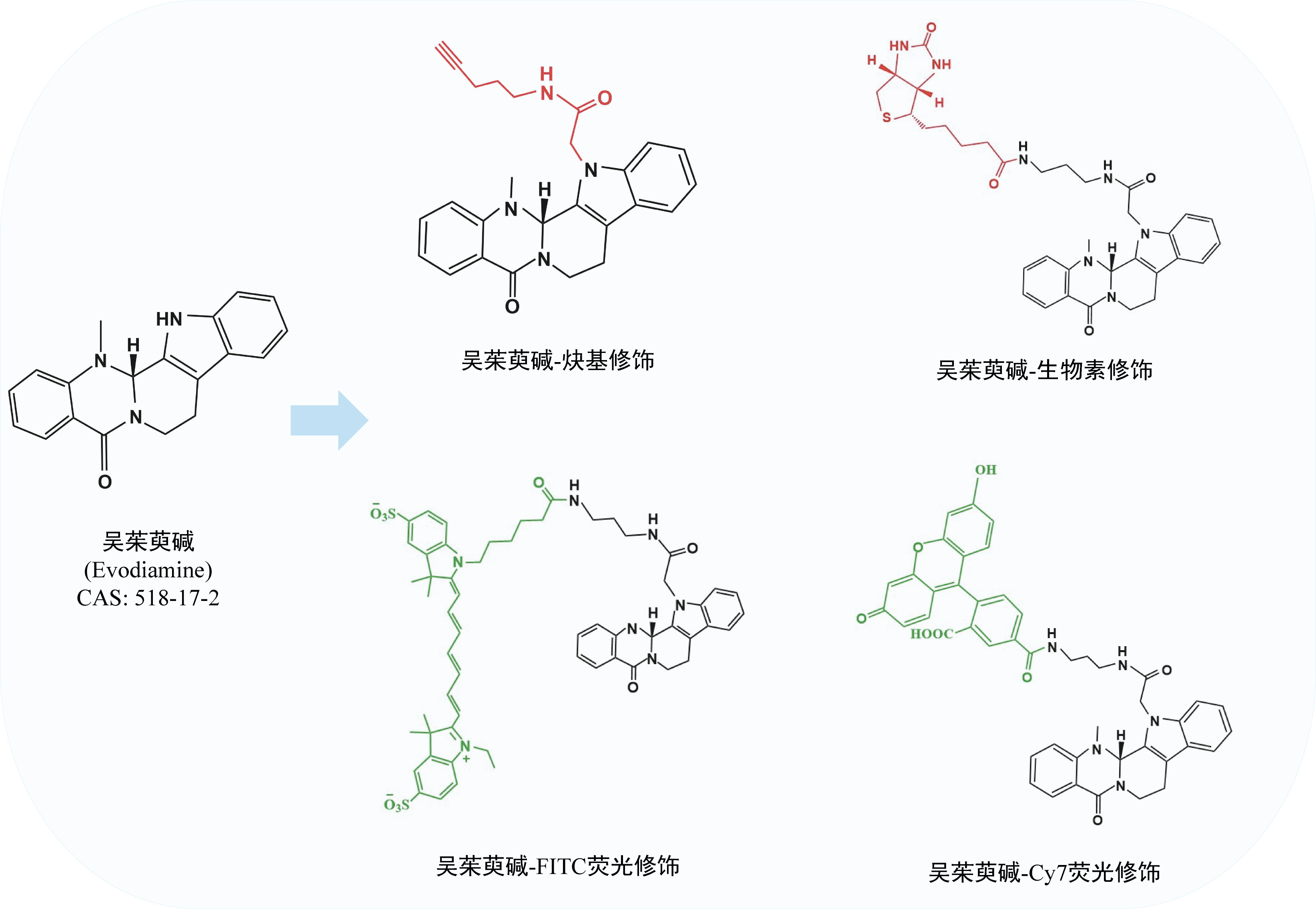 12.10修饰微信图片_20241210130351.jpg