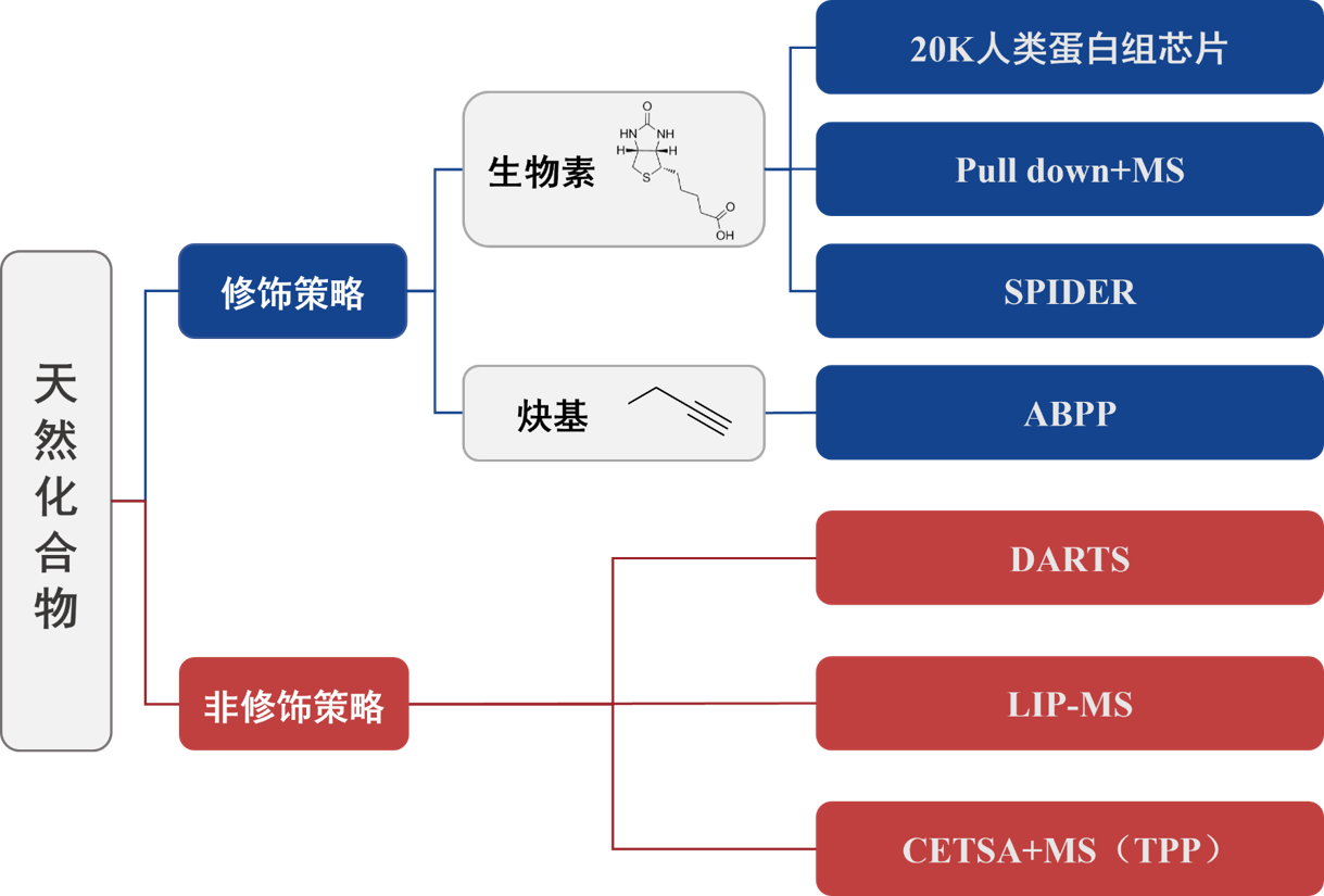 12.9小分子靶筛图片1.png